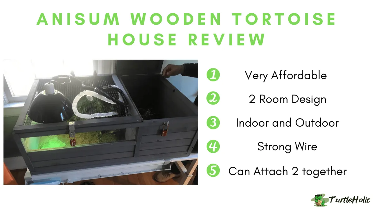 Anisum Wooden Tortoise House Review