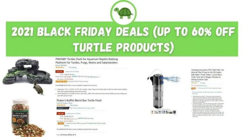 black friday turtle deals