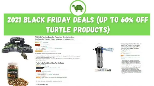 black friday turtle deals