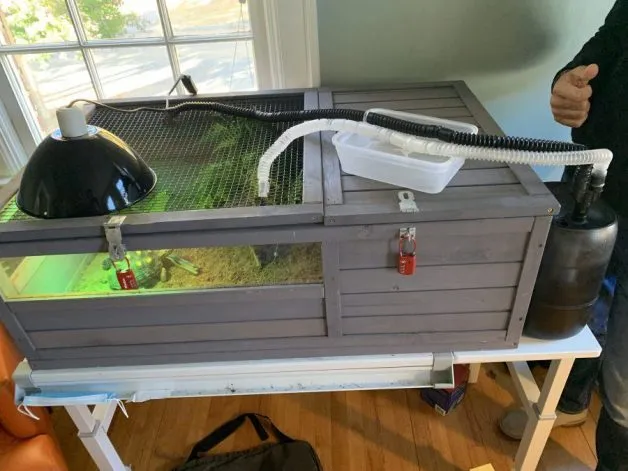 indoor-tortoise-enclosure