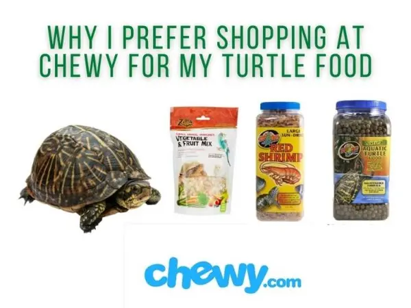 where to buy turtle food online