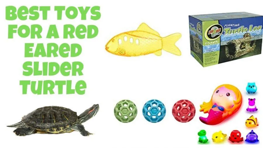 toys for red eared slider