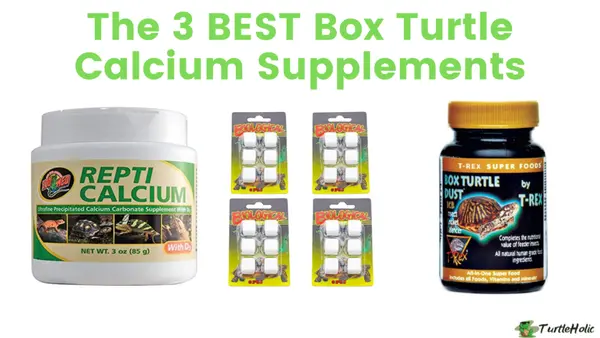box turtle calcium supplement
