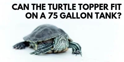 Can the Turtle Topper Fit on a 75 Gallon Tank link picture