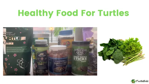 Healthy Food For Turtles