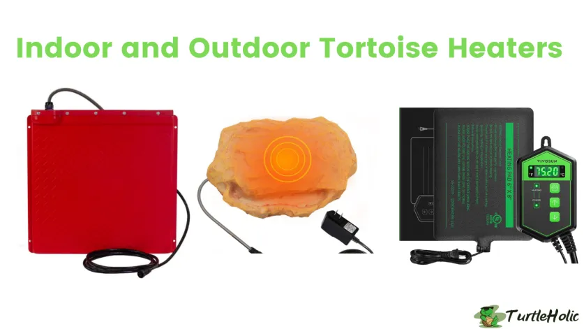 tortoise heater