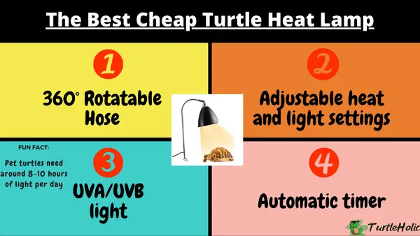 turtle heat lamp