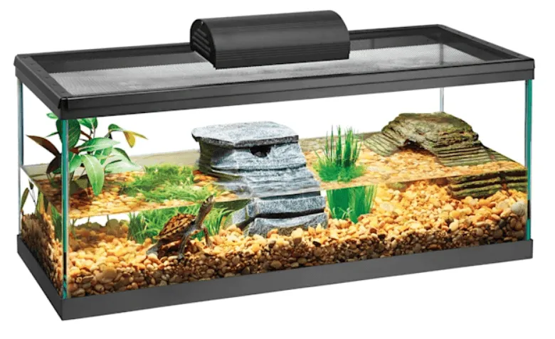 20 gallon turtle tank