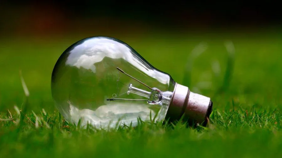 best turtle light bulb featured