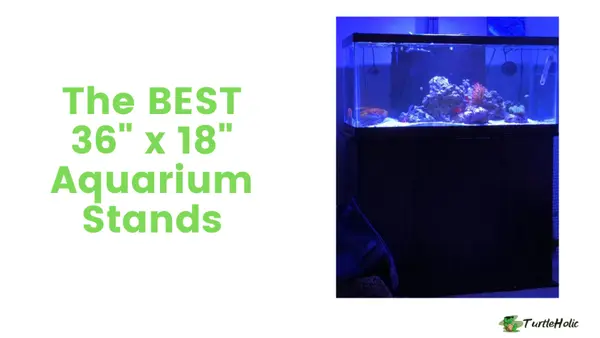 36 x 18 Aquarium Stands