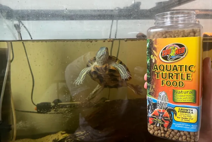 change in turtle diet
