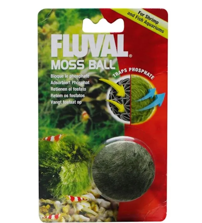 turtle tank moss ball