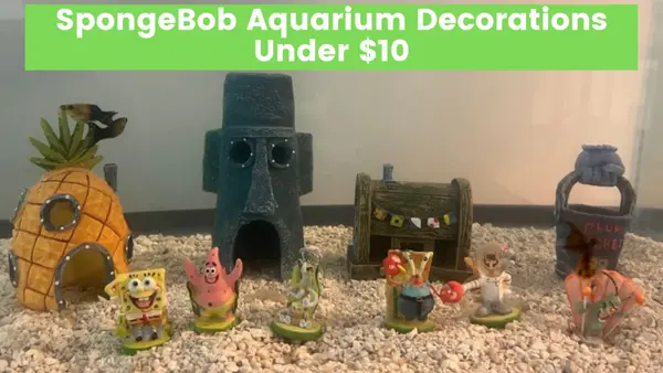 SpongeBob Aquarium Decorations
