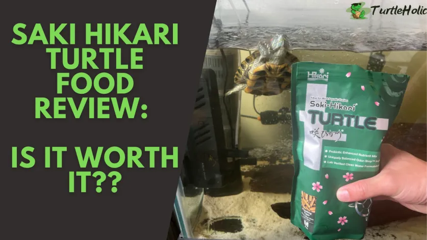 saki hikari turtle food review