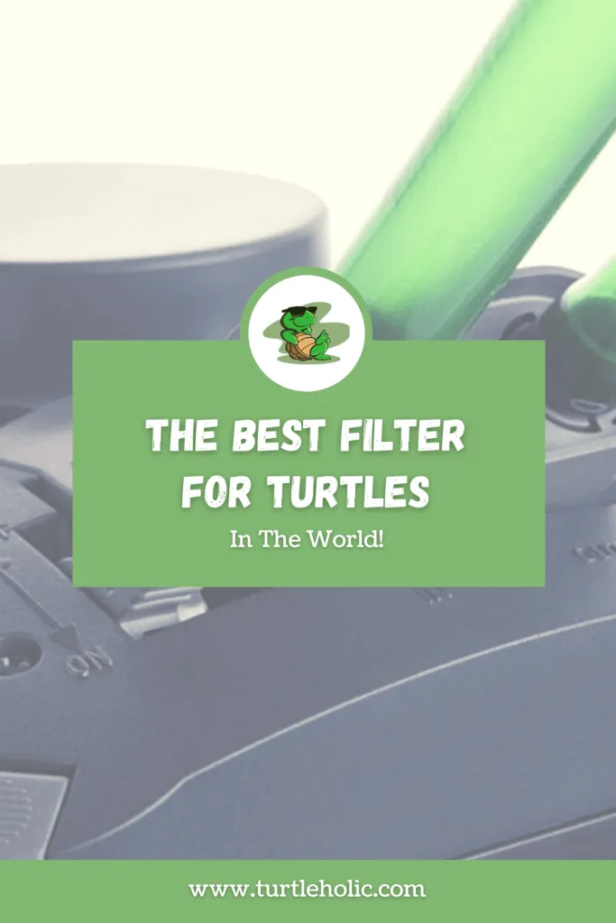 The Best Filter for Turtles in the World Pinterest