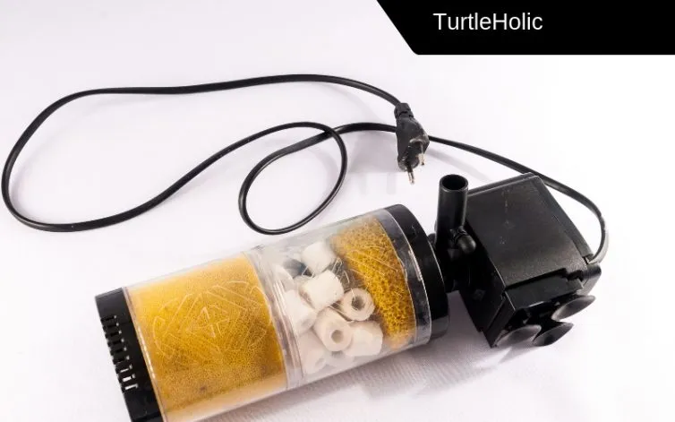 best power filter for turtles content