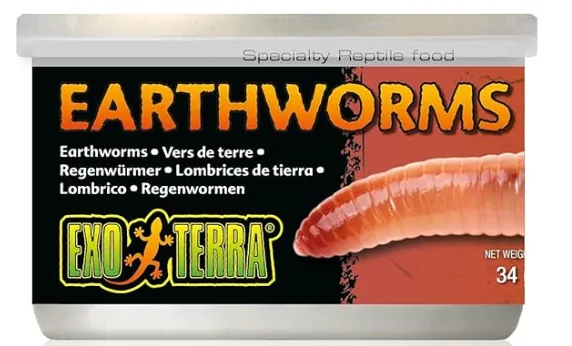 earthworms for turtles
