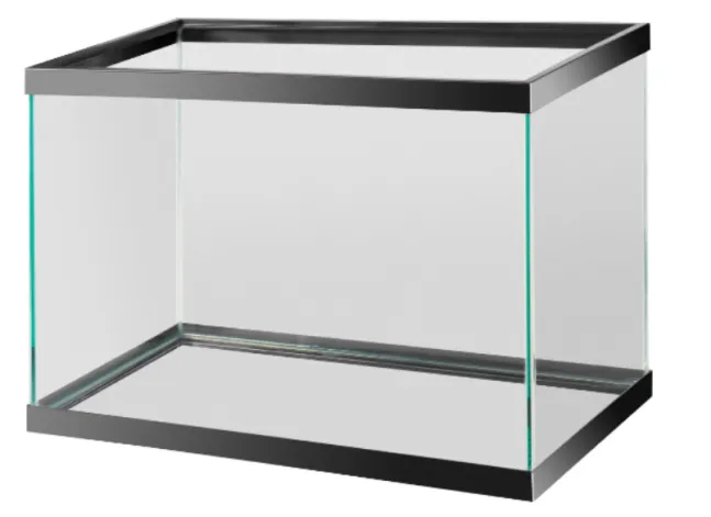 turtle tank for small turtles