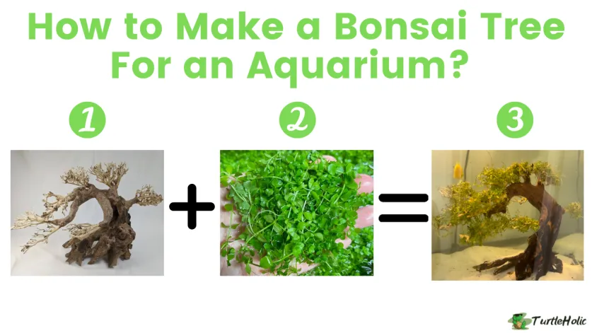 how to make a bonsai tree for aquarium