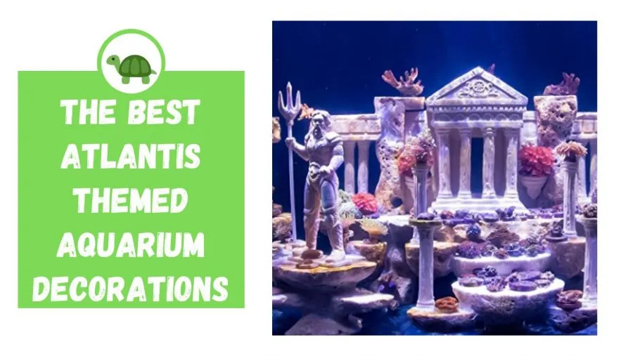 atlantis themed aquarium decorations