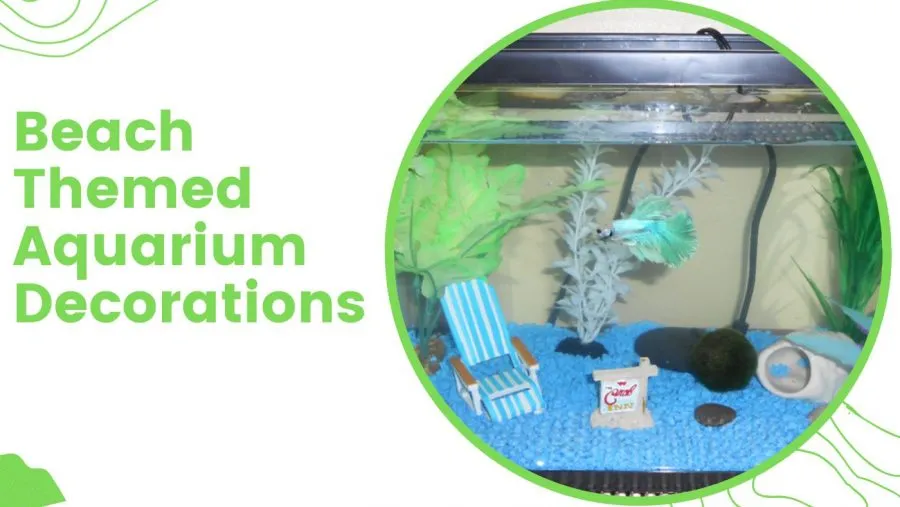 Beach Themed Aquarium