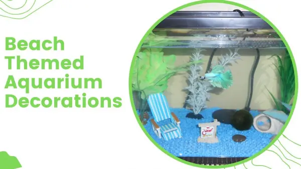 Beach Themed Aquarium