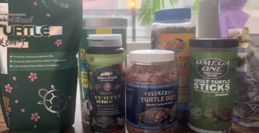 different types of turtle food