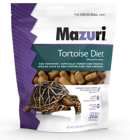 food for tortoise