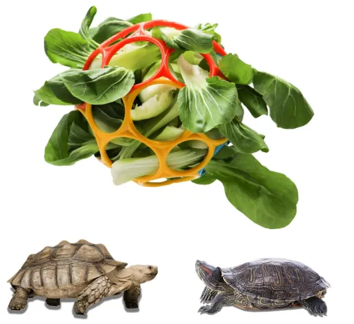 turtle feeder ball