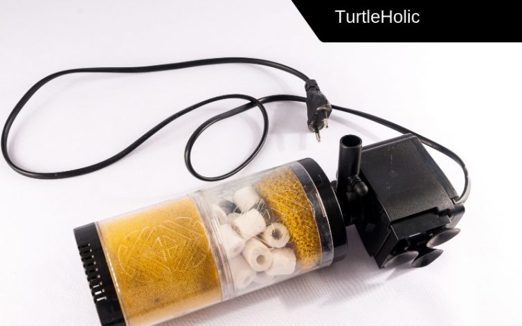 best power filter for turtles content