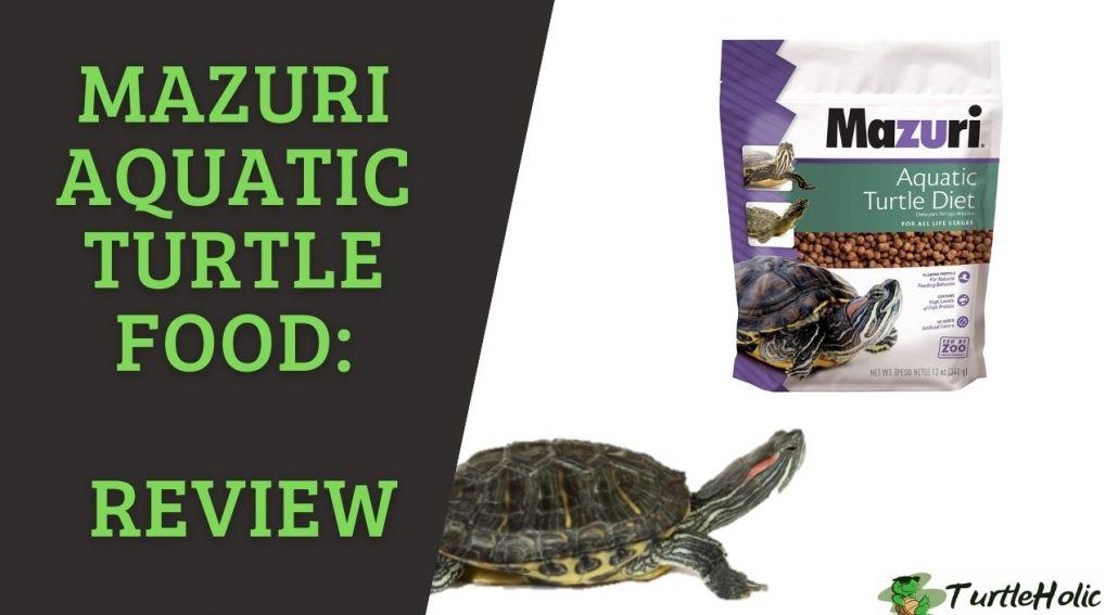 mazuri turtle food review