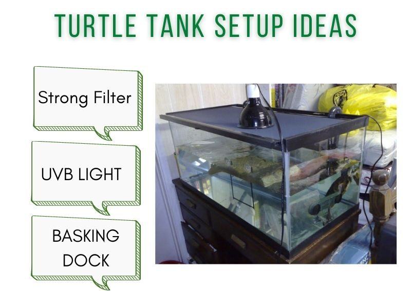 Turtle Tank Setup Ideas - TurtleHolic