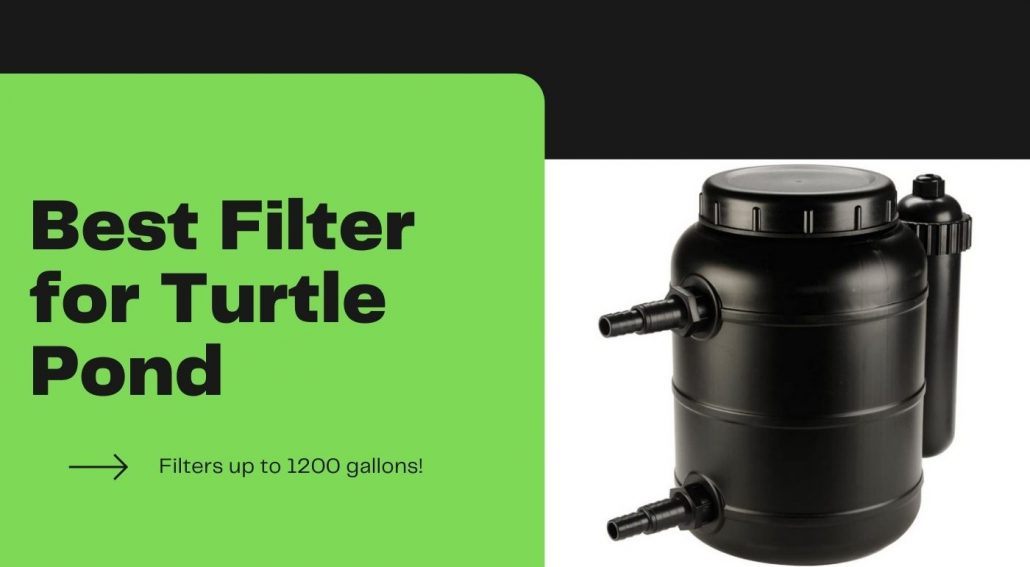 Best Filter for Turtle Pond