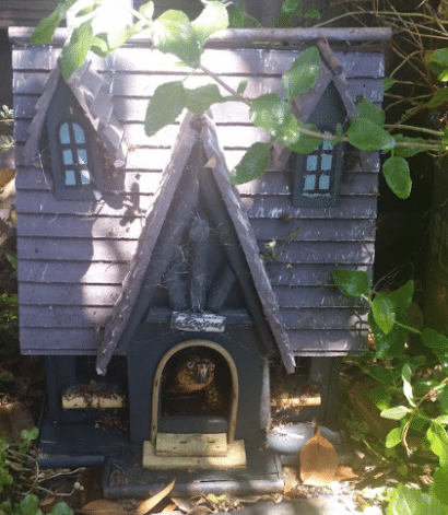 tortoise house