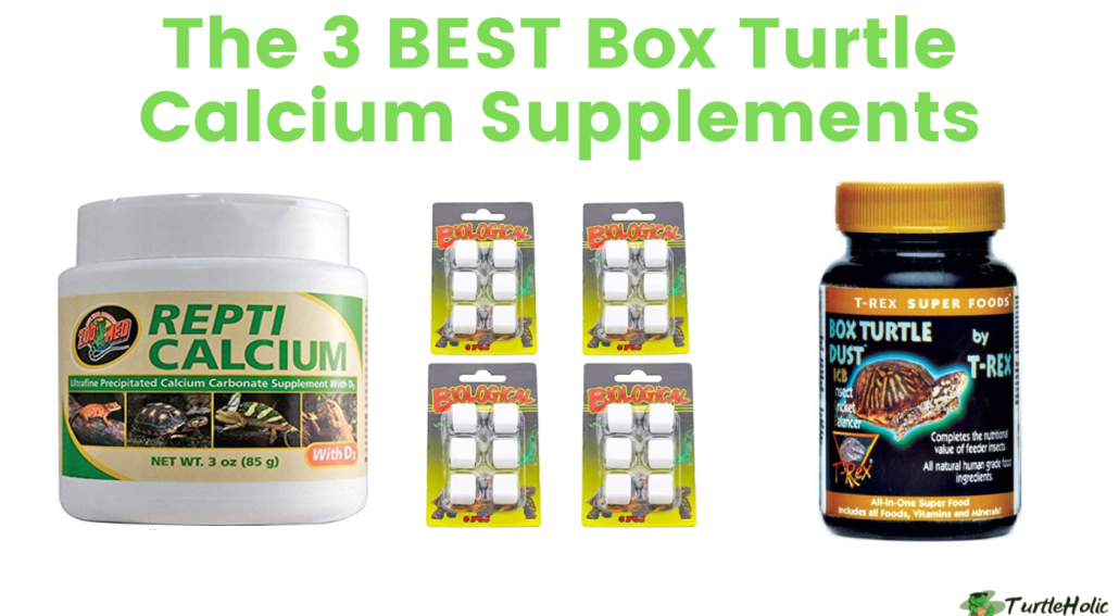 box turtle calcium supplement