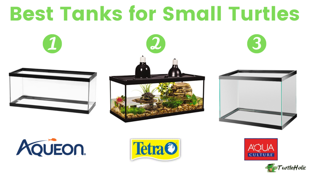 Best Tanks for Small Turtles TurtleHolic