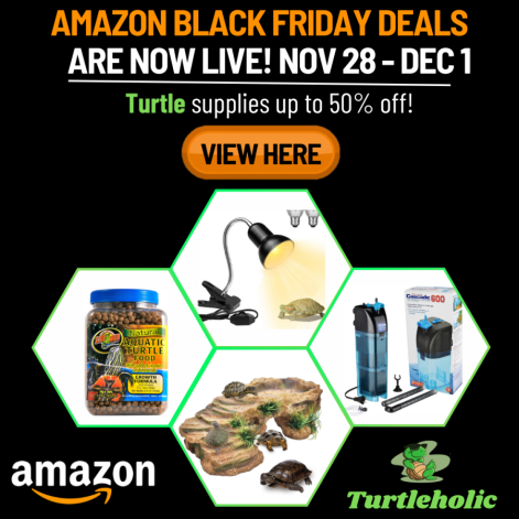 turtle deals